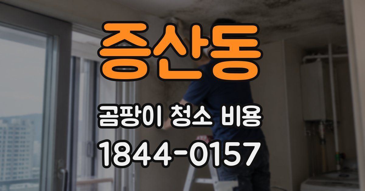 증산동 곰팡이 청소 비용
