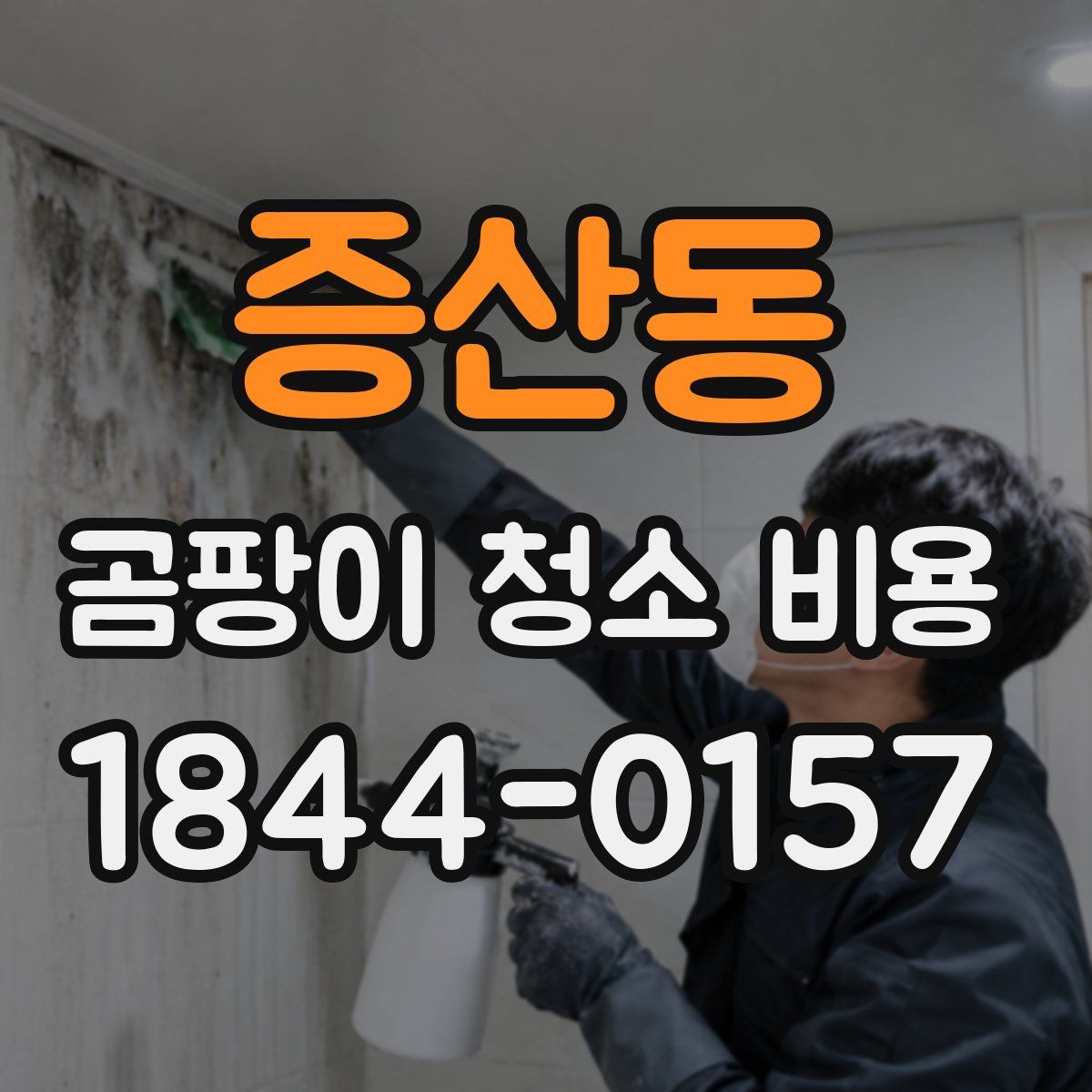 증산동 곰팡이 청소 비용