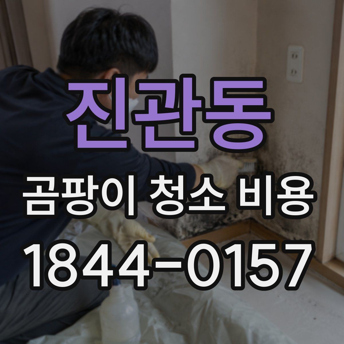 진관동 곰팡이 청소 비용 부분 청소와 전체 작업 범위