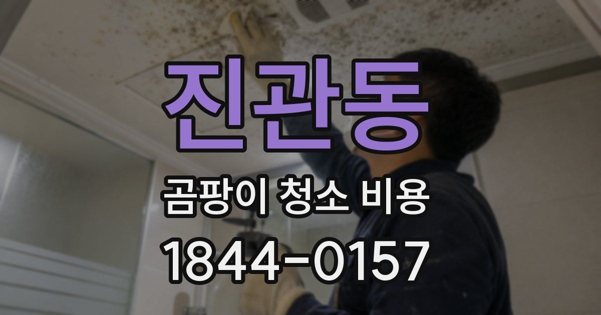 진관동 곰팡이 청소 비용