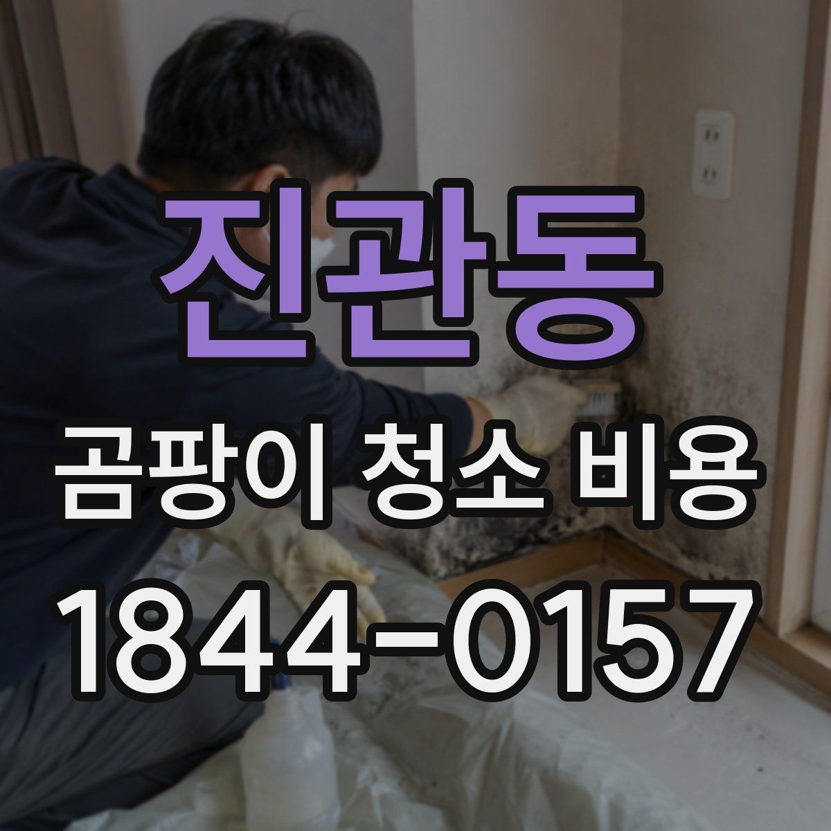 진관동 곰팡이 청소 비용