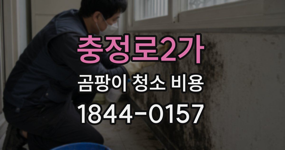 충정로2가 곰팡이 청소 비용