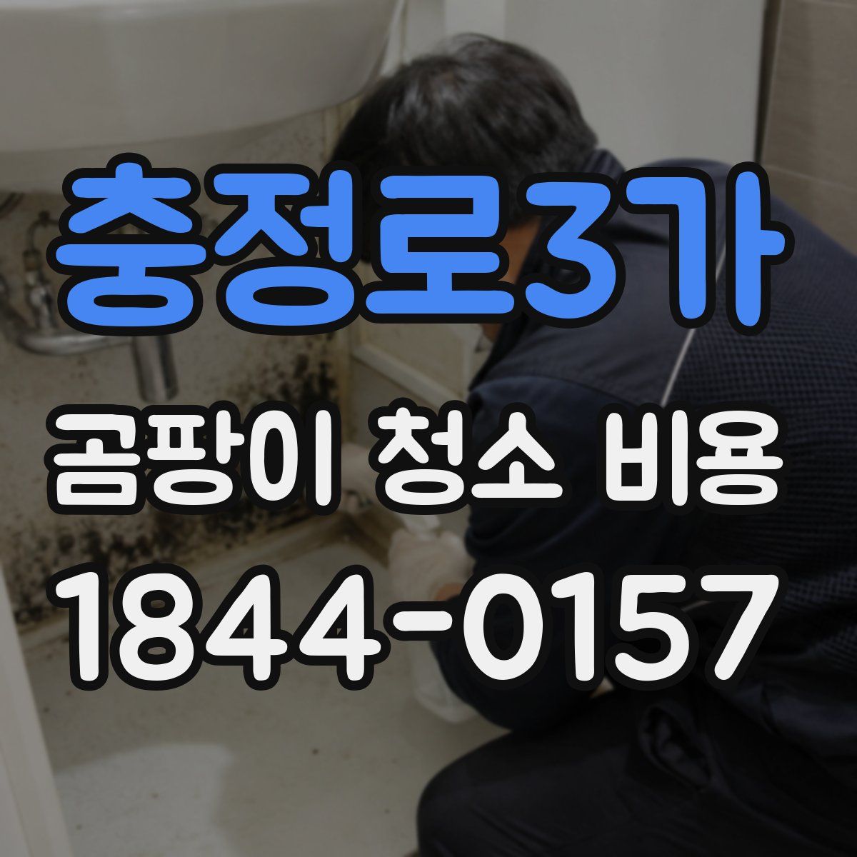 충정로3가 곰팡이 청소 비용