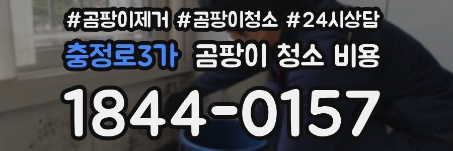 충정로3가 곰팡이 청소 비용