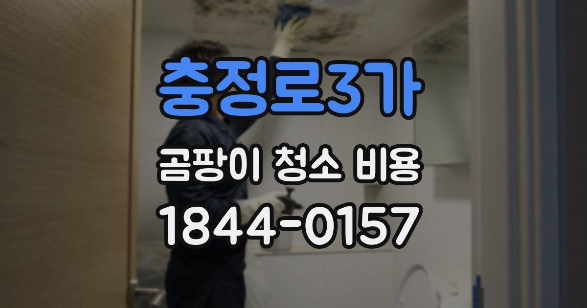 충정로3가 곰팡이 청소 비용