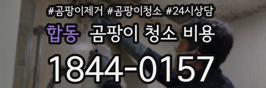 합동 곰팡이 청소 비용