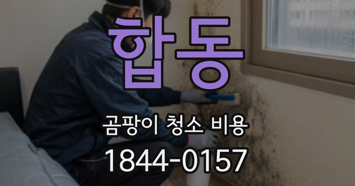 합동 곰팡이 청소 비용