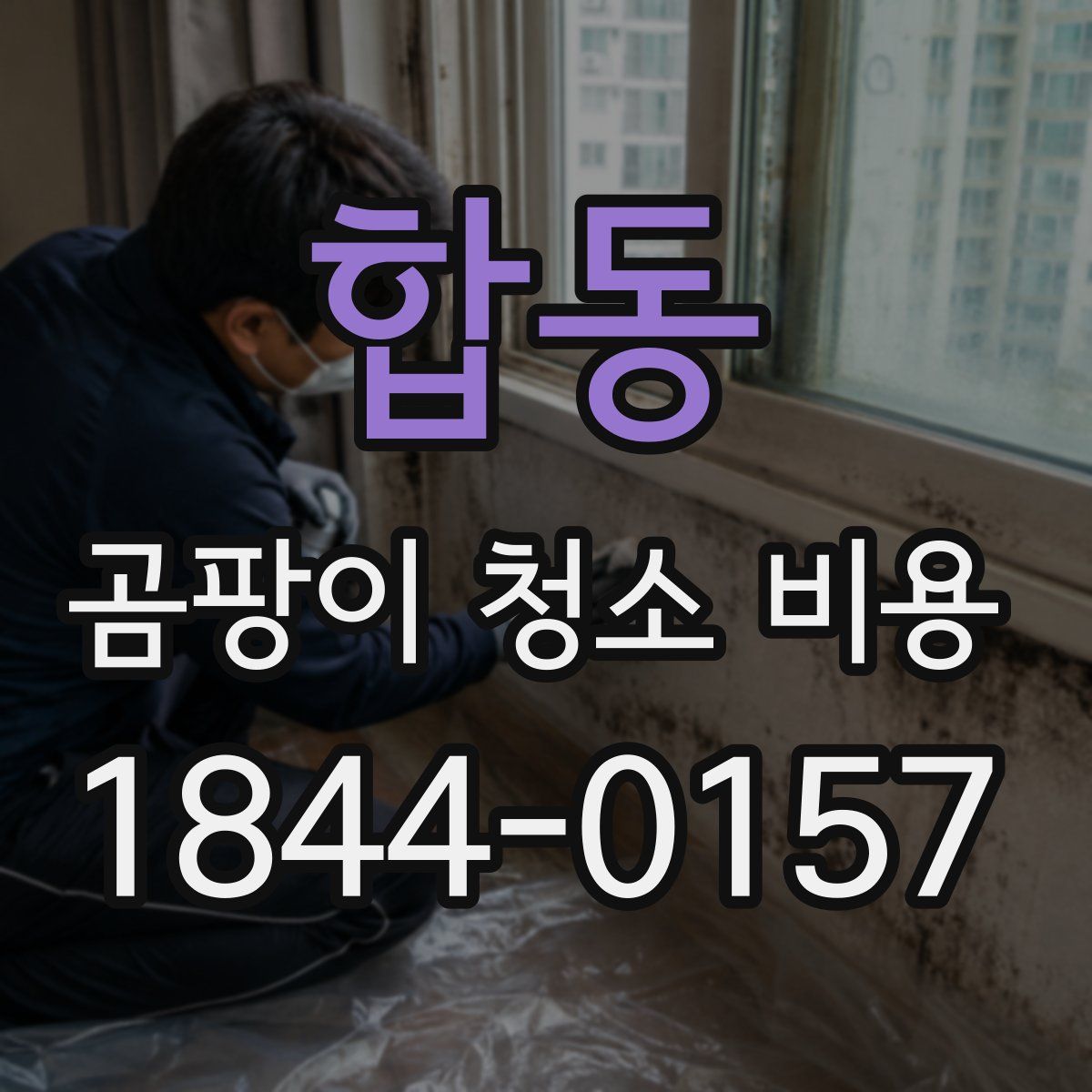 합동 곰팡이 청소 비용
