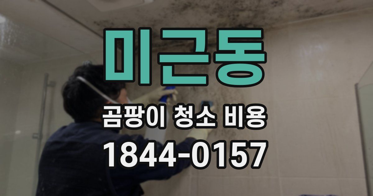 미근동 곰팡이 청소 비용