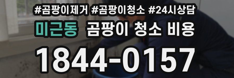 미근동 곰팡이 청소 비용