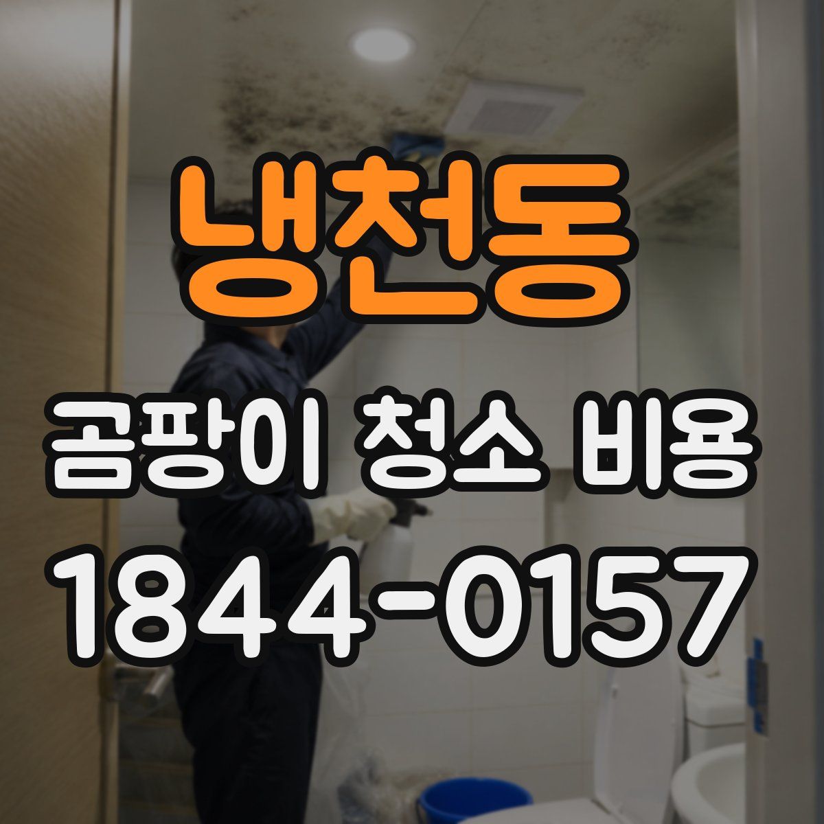 냉천동 곰팡이 청소 비용