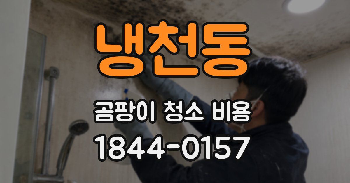 냉천동 곰팡이 청소 비용