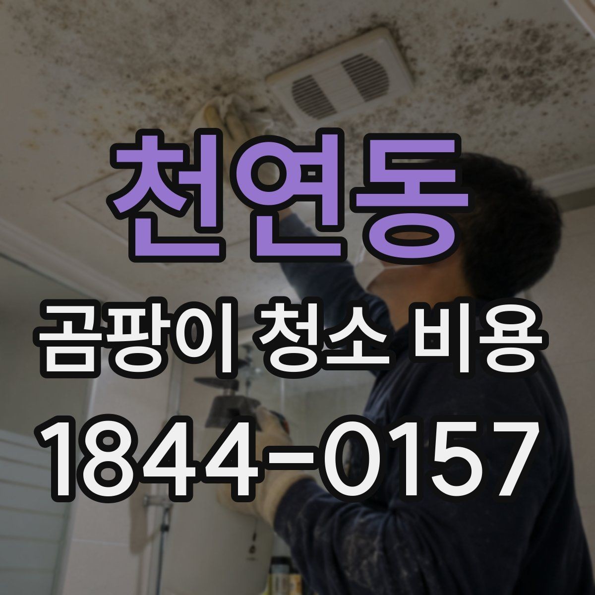 천연동 곰팡이 청소 비용 약품 처리와 인건비는 어떻게 나뉠까