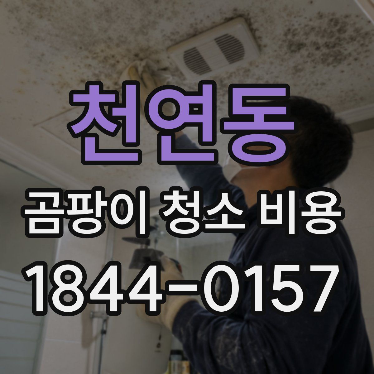 천연동 곰팡이 청소 비용