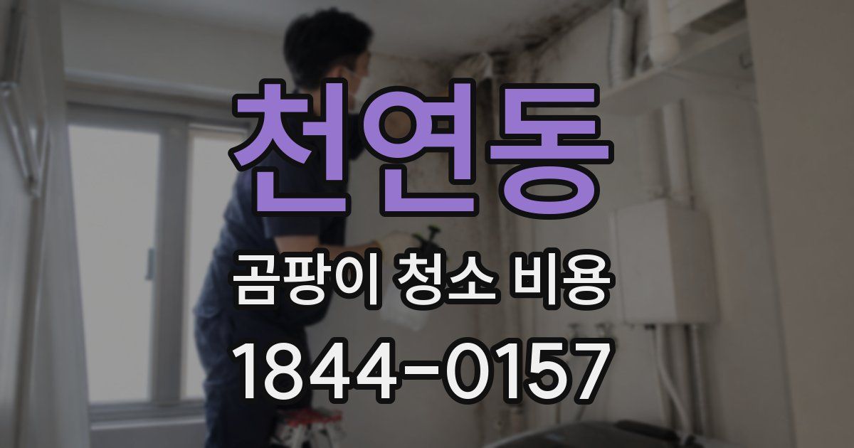 천연동 곰팡이 청소 비용