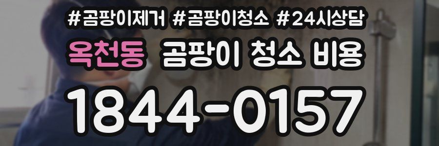옥천동 곰팡이 청소 비용