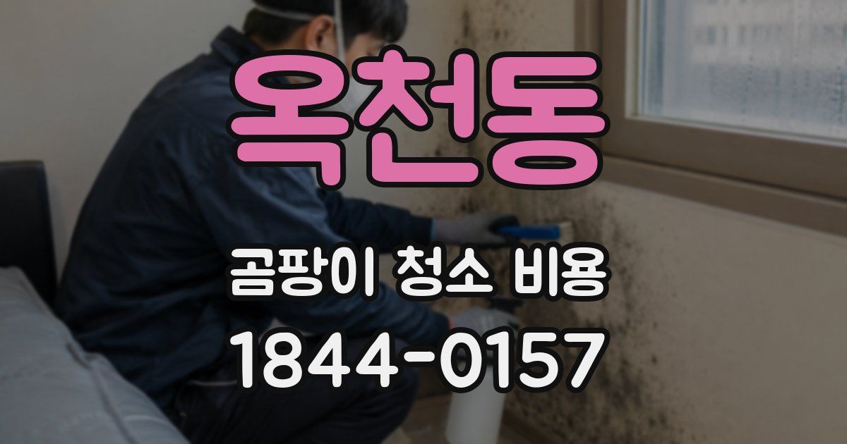 옥천동 곰팡이 청소 비용