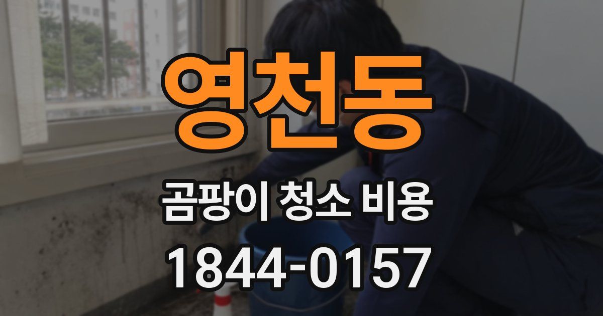 영천동 곰팡이 청소 비용
