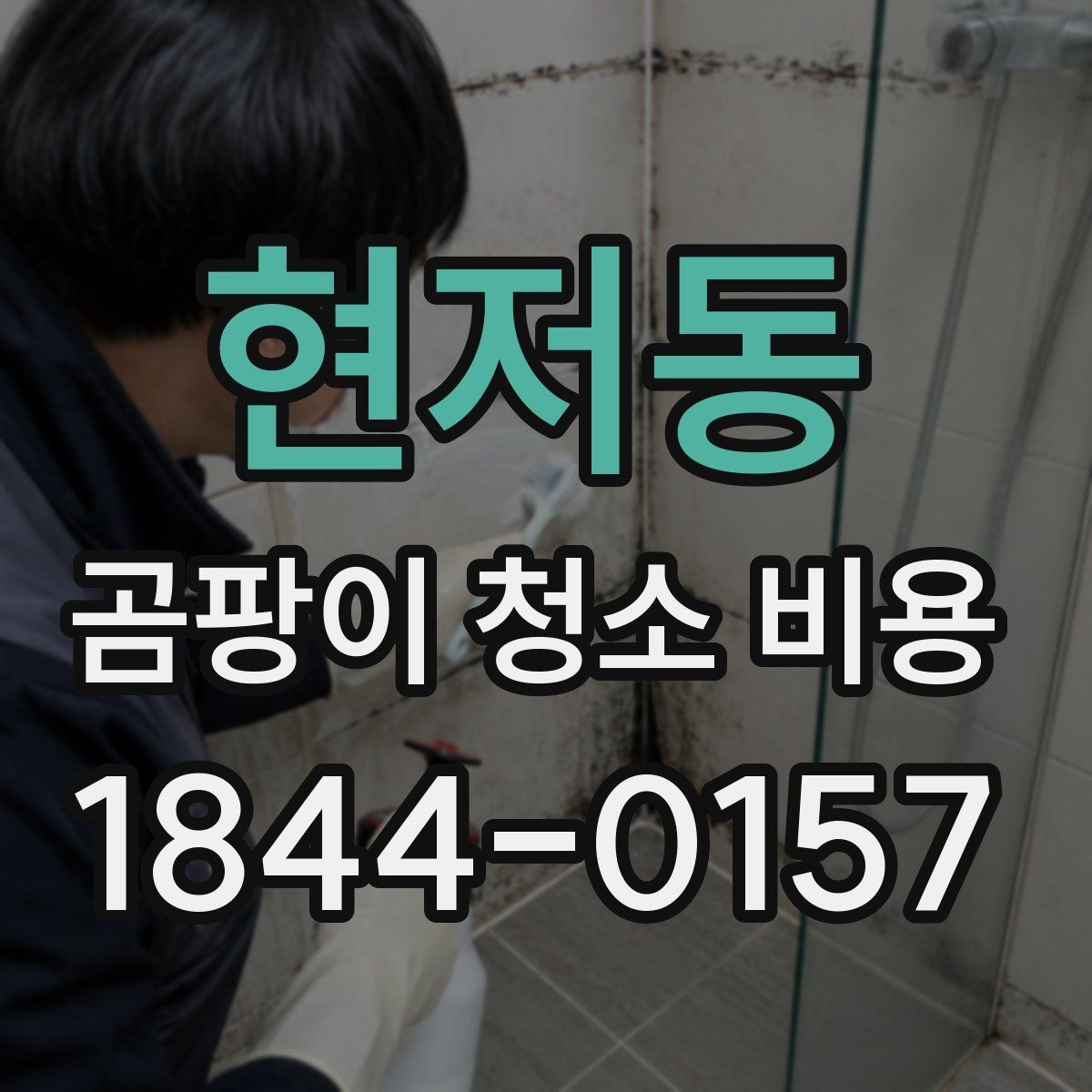 현저동 곰팡이 청소 비용 벽지 손상과 오염 번짐을 함께 보는 기준