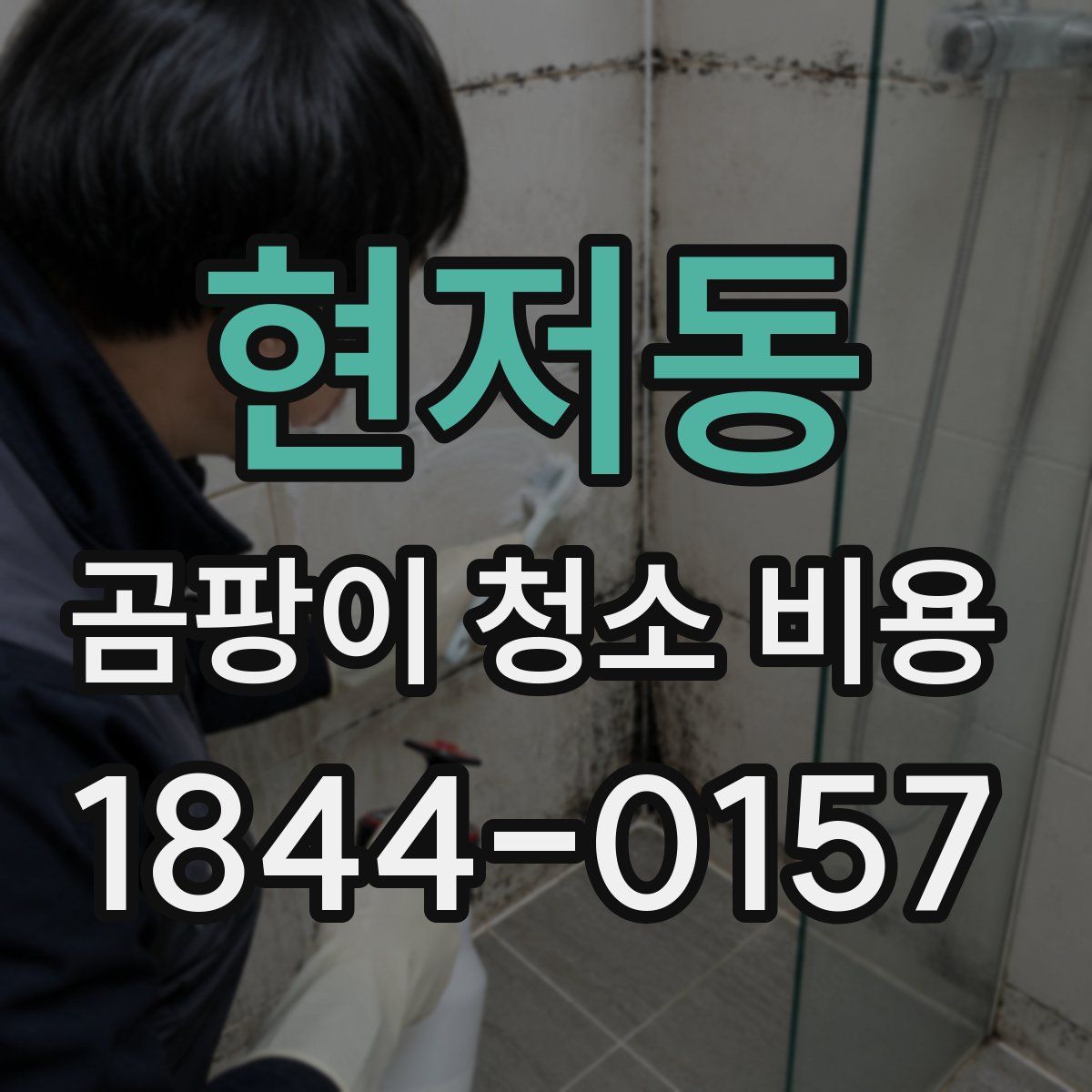 현저동 곰팡이 청소 비용