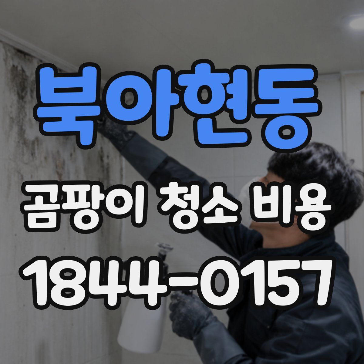 북아현동 곰팡이 청소 비용
