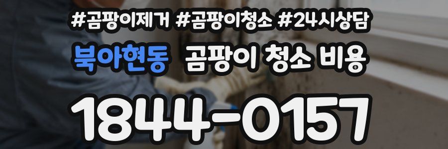 북아현동 곰팡이 청소 비용