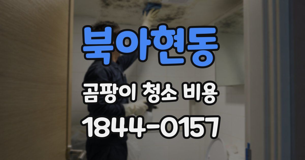 북아현동 곰팡이 청소 비용