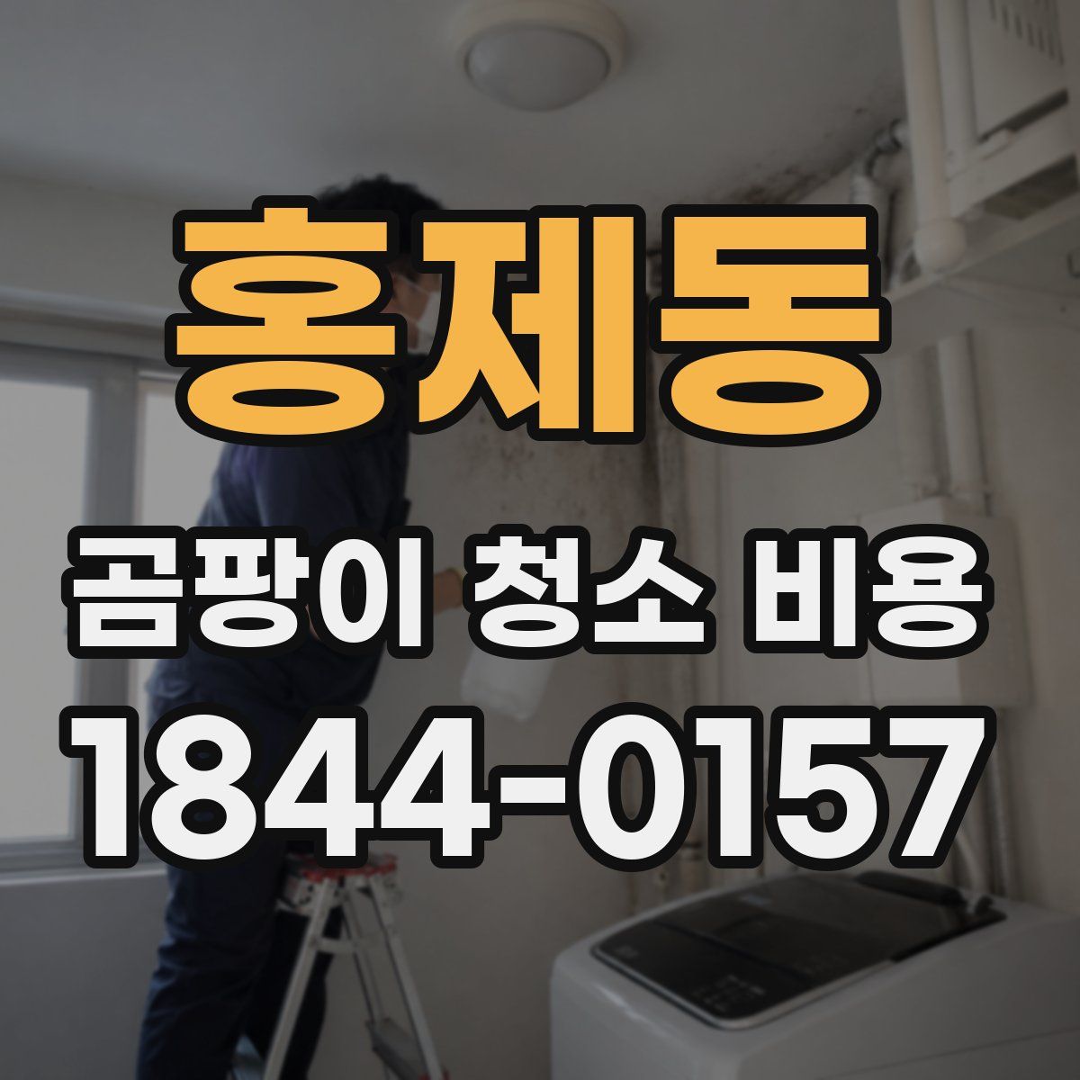 홍제동 곰팡이 청소 비용
