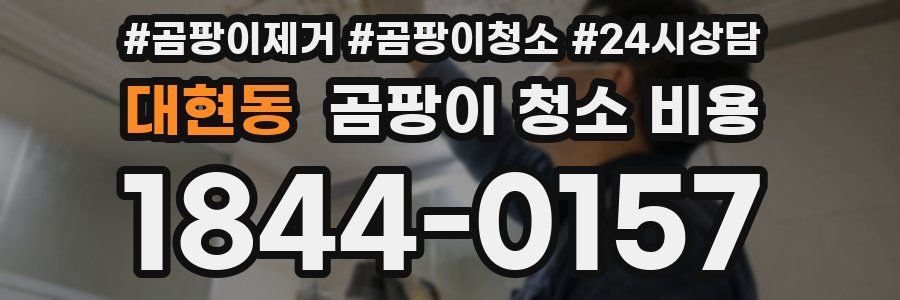 대현동 곰팡이 청소 비용