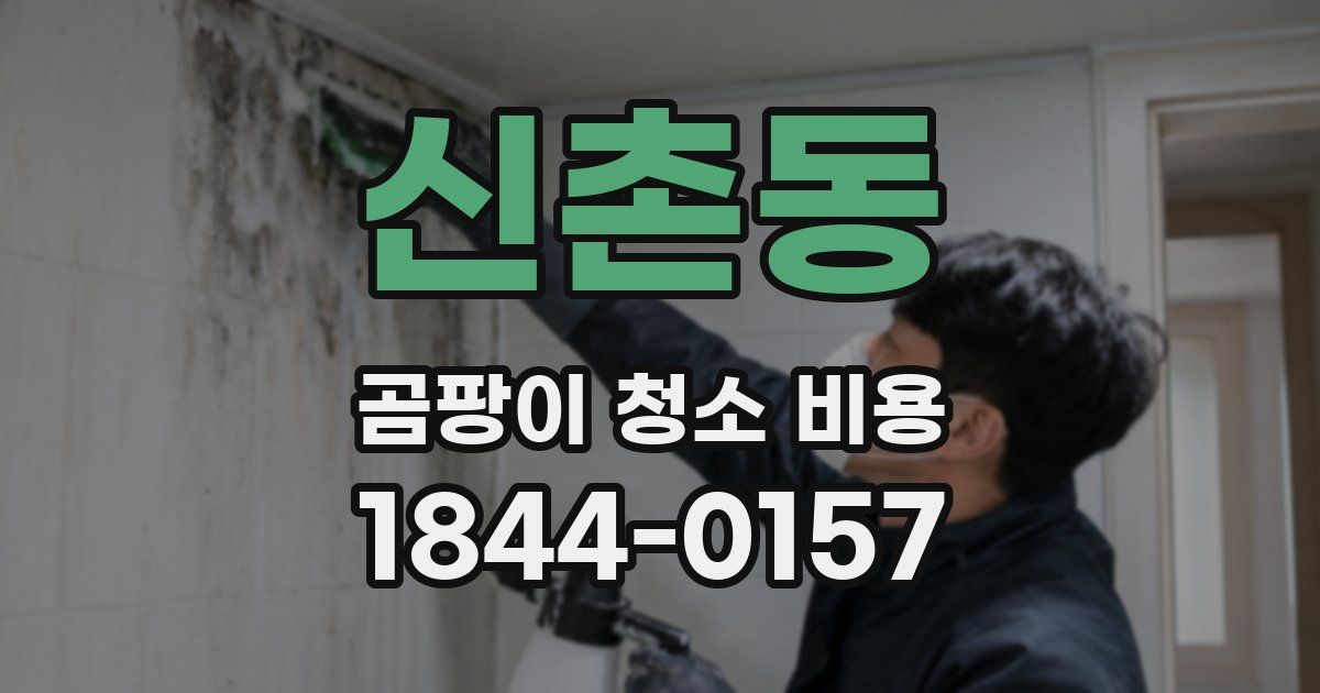 신촌동 곰팡이 청소 비용