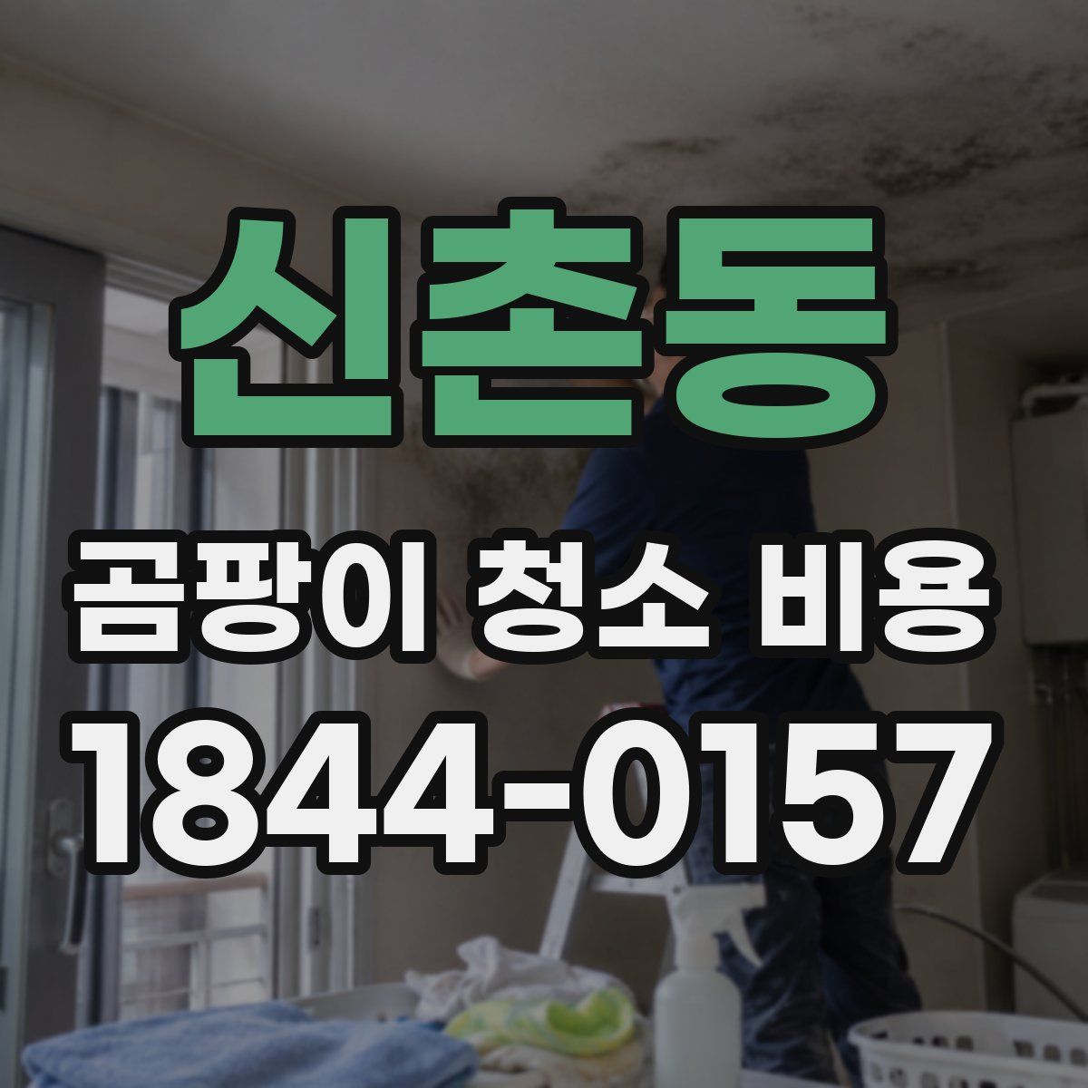 신촌동 곰팡이 청소 비용