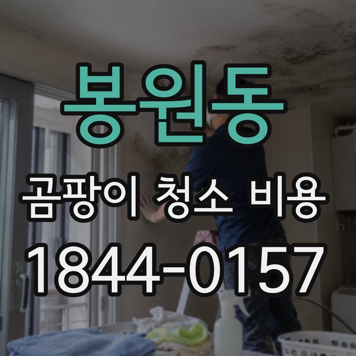 봉원동 곰팡이 청소 비용