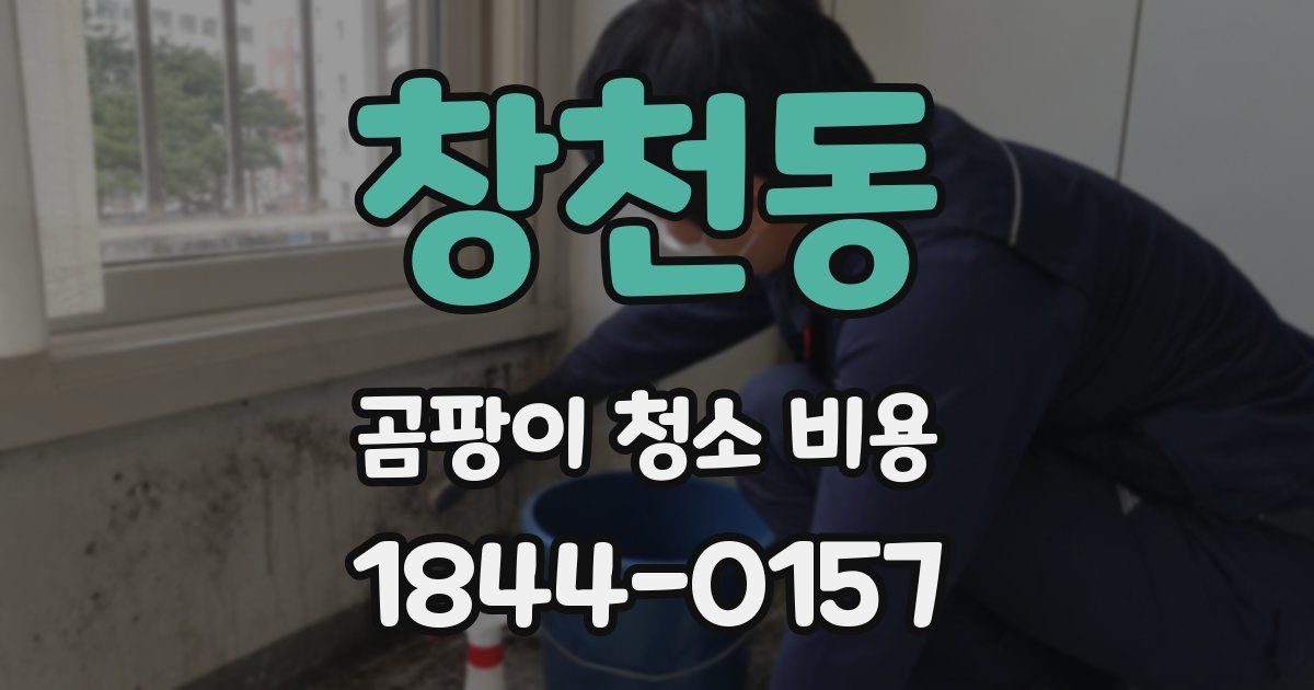 창천동 곰팡이 청소 비용
