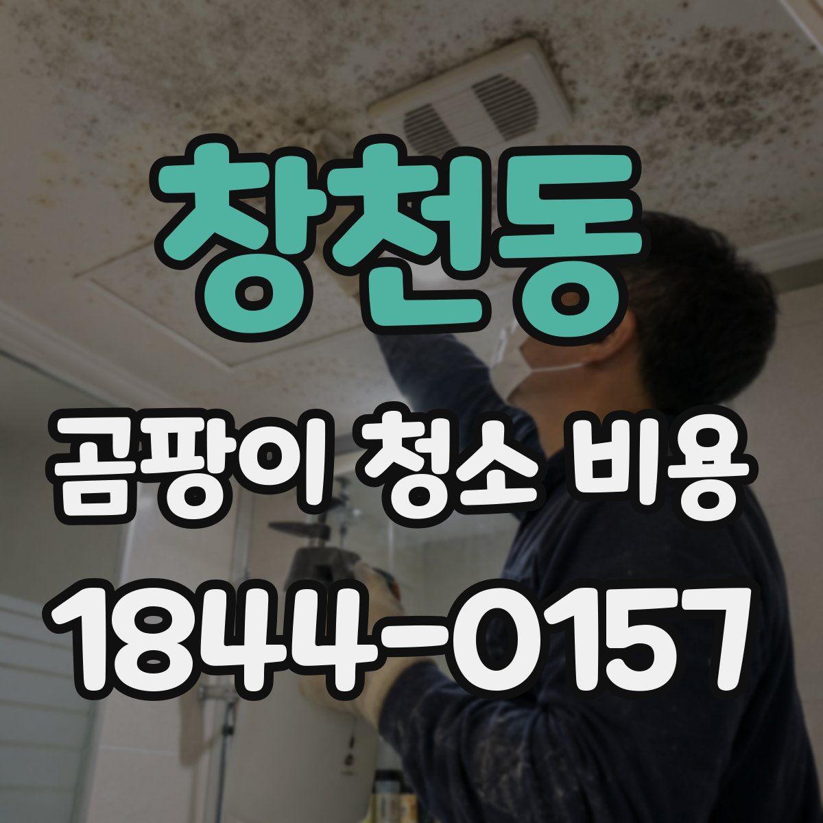 창천동 곰팡이 청소 비용