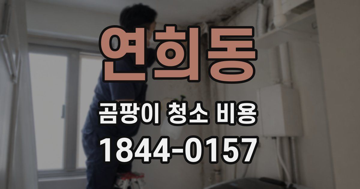 연희동 곰팡이 청소 비용