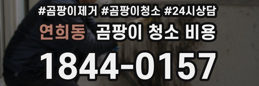 연희동 곰팡이 청소 비용