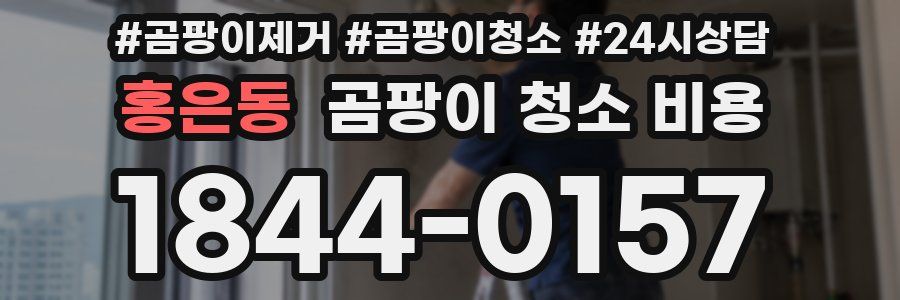 홍은동 곰팡이 청소 비용