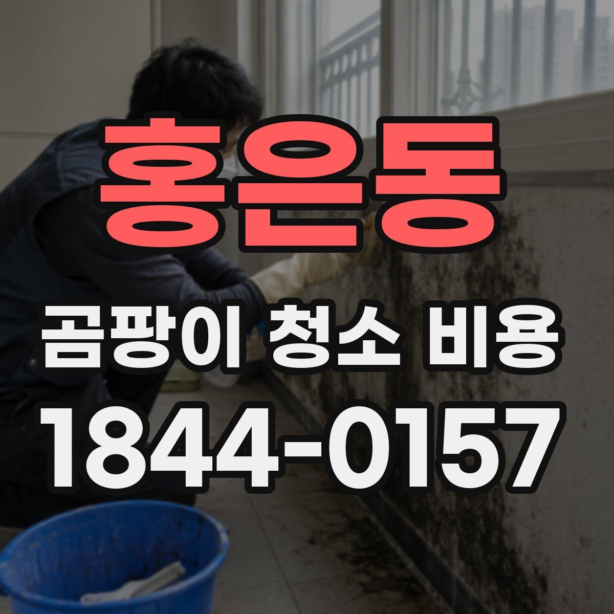 홍은동 곰팡이 청소 비용