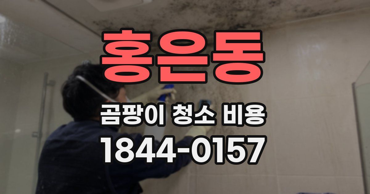 홍은동 곰팡이 청소 비용