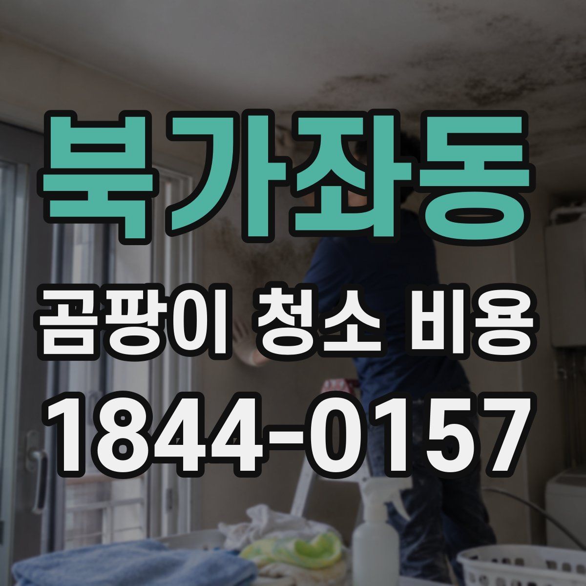 북가좌동 곰팡이 청소 비용