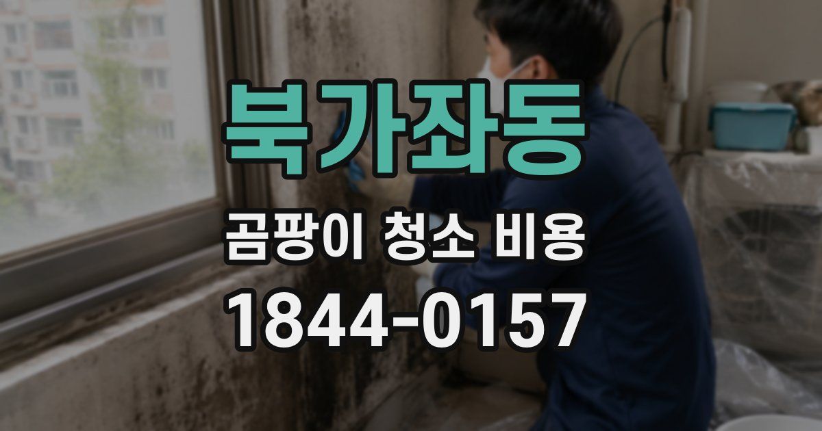 북가좌동 곰팡이 청소 비용