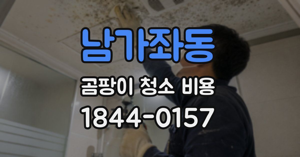 남가좌동 곰팡이 청소 비용
