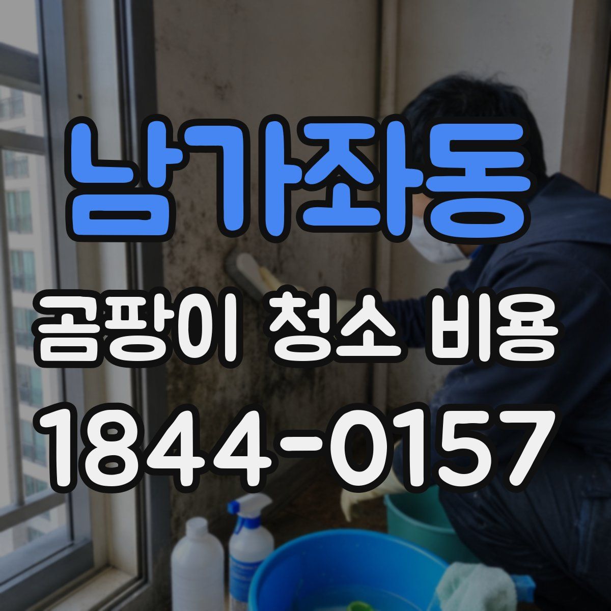 남가좌동 곰팡이 청소 비용