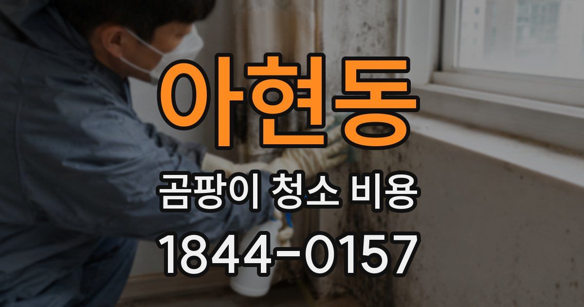 아현동 곰팡이 청소 비용