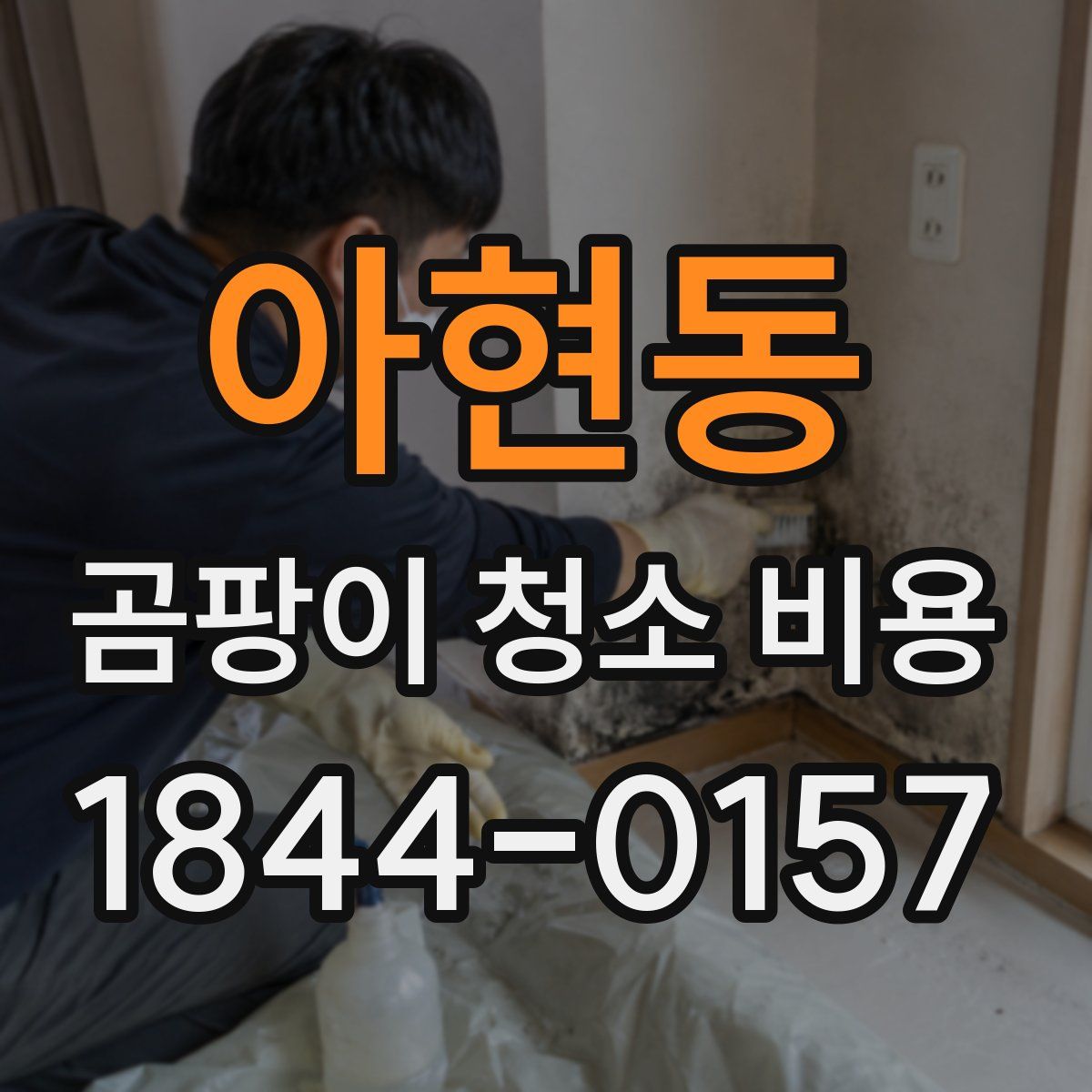 아현동 곰팡이 청소 비용