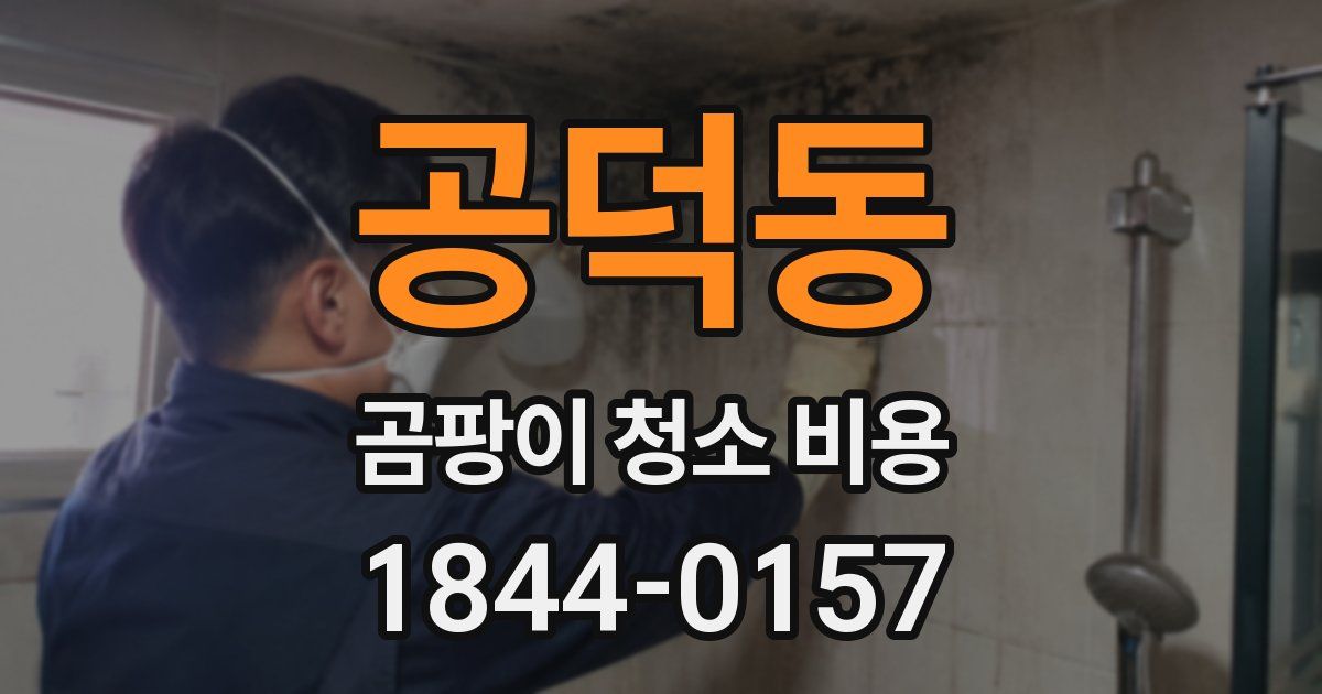 공덕동 곰팡이 청소 비용