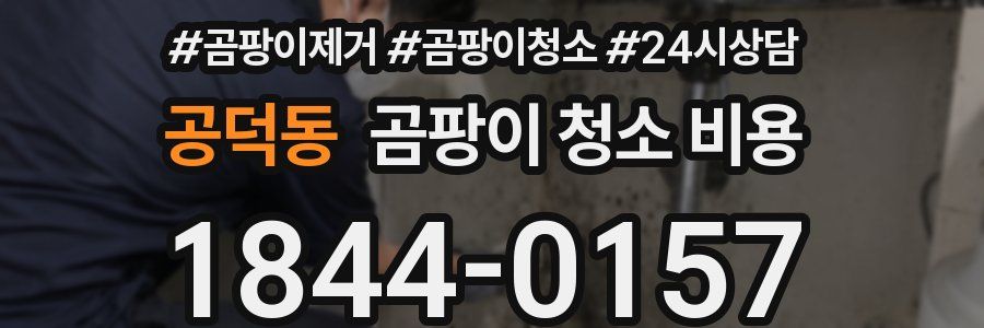 공덕동 곰팡이 청소 비용