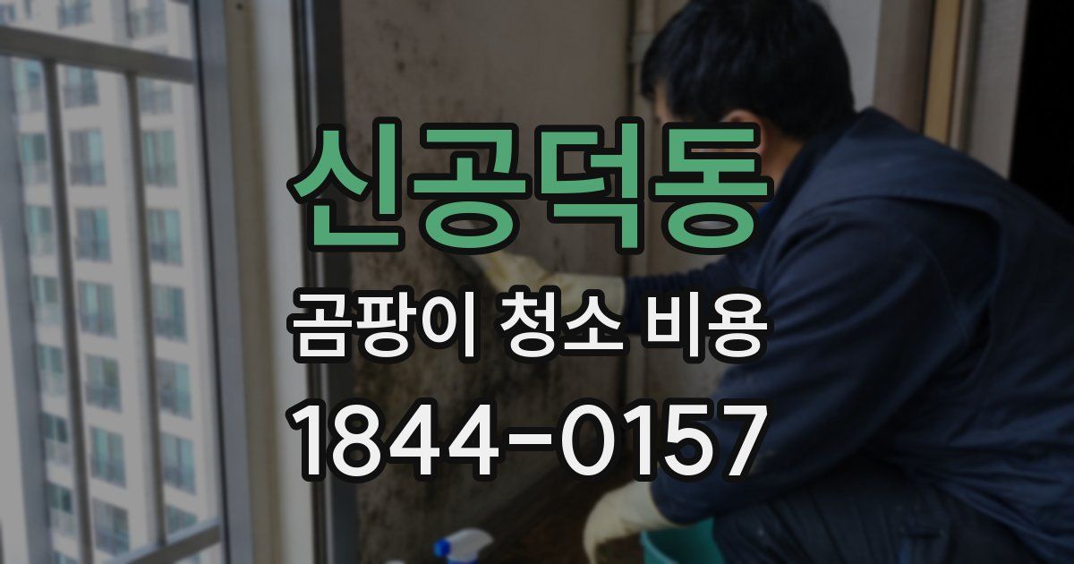 신공덕동 곰팡이 청소 비용