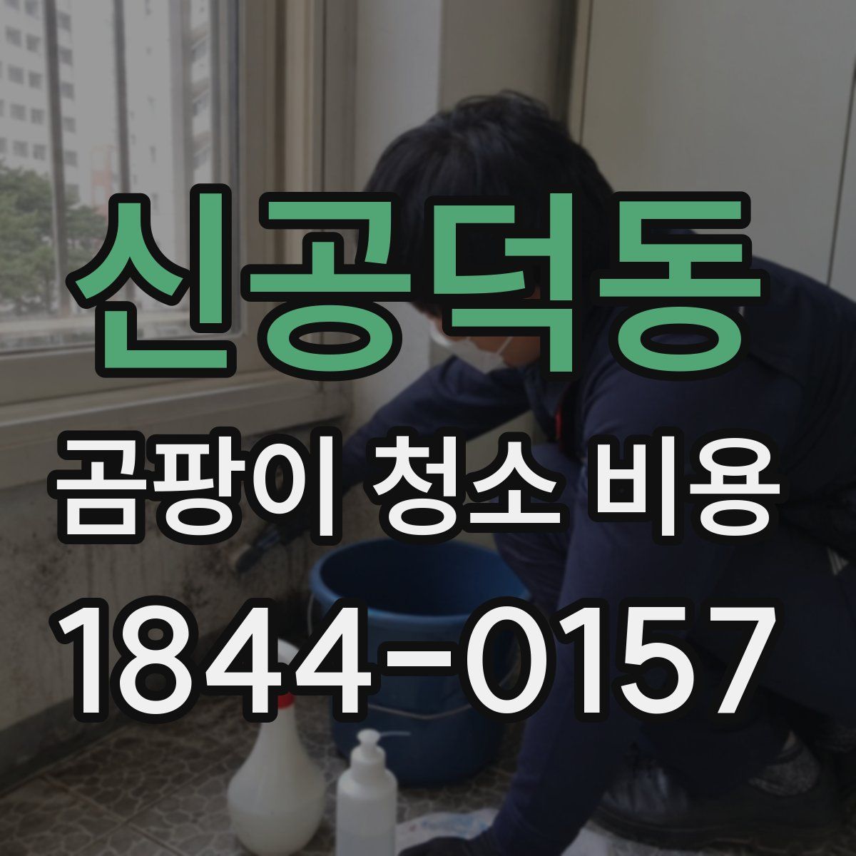 신공덕동 곰팡이 청소 비용