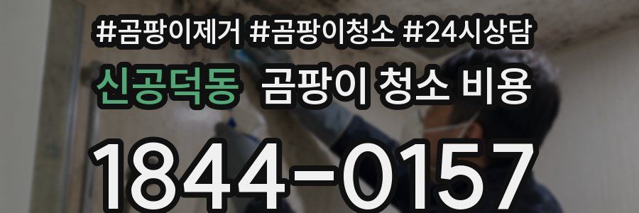 신공덕동 곰팡이 청소 비용